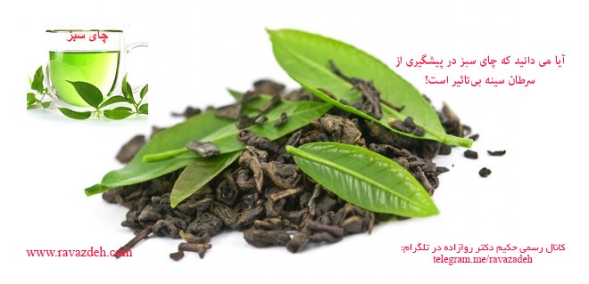آیا می دانید که چای سبز در پیشگیری از سرطان سینه بی‌تاثیر است!