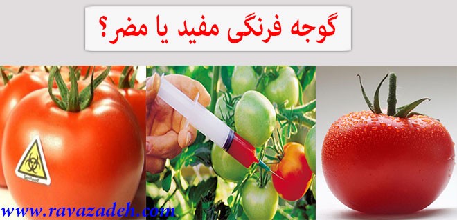 گوجه فرنگی مفید یا مضر؟