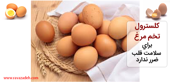 تصویر از کلسترول تخم مرغ براي سلامت قلب ضرر ندارد