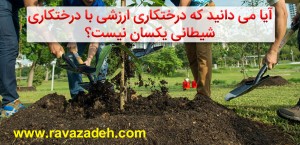 درختکاری