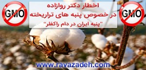 پنبه تراریخته