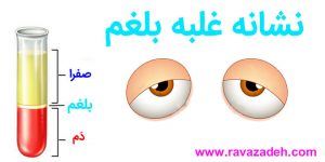 بلغم