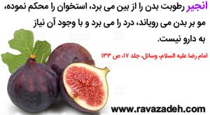 انجیر