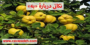 نکاتی دربارۀ «به»