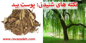 نکته های شنیدنی: پوست بید