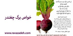 خواص برگ چغندر