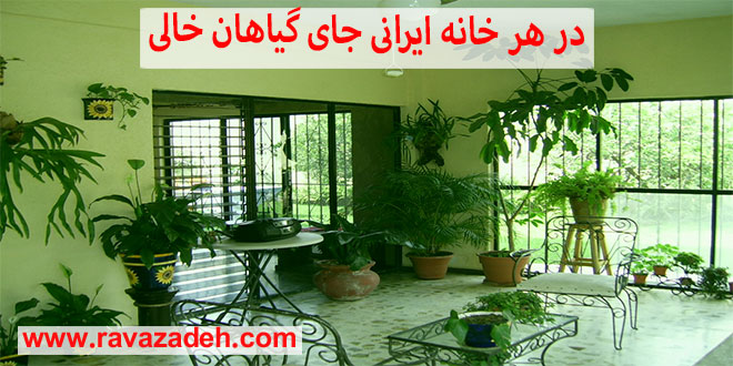 در هر خانه ایرانی جای گیاهان خالی