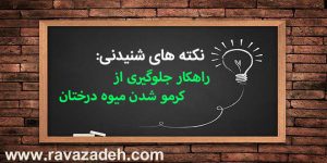 نکته های شنیدنی: راهکار جلوگیری از کرمو شدن میوه درختان