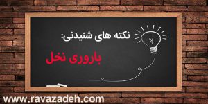 نکته های شنیدنی: باروری نخل
