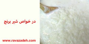 در خواص شیر برنج