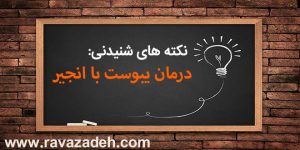 نکته های شنیدنی: درمان یبوست با انجیر