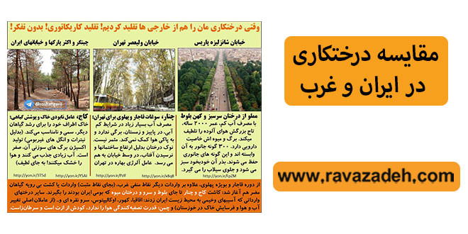 مقایسه درختکاری در ایران و غرب
