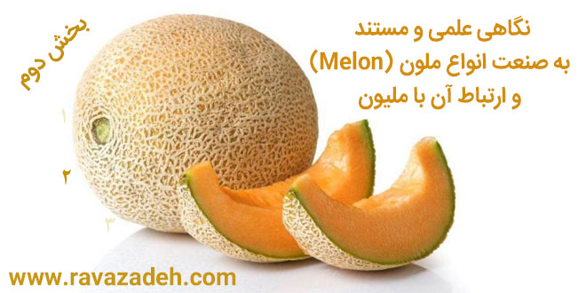 تصویر از نگاهی علمی و مستند به صنعت انواع ملون (Melon) و ارتباط آن با ملیون – بخش دوم