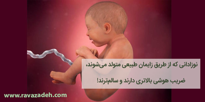 تصویر از نوزادانی که از طریق زایمان طبیعی متولد می‌شوند، ضریب هوشی بالا‌تری دارند و سالم‌ترند!