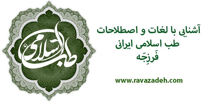 آشنایی با لغات و اصطلاحات طب اسلامی ایرانی: فَرزِجَه آشنایی با لغات و اصطلاحات طب اسلامی ایرانی: فَرزِجَه