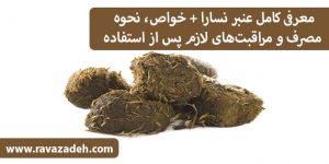 معرفی کامل عنبر نسارا + خواص، نحوه مصرف و مراقبت‌های لازم پس از استفاده