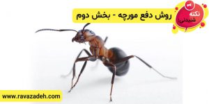روش دفع مورچه - بخش دوم