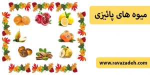میوه های پائیزی