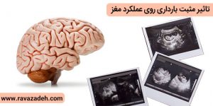 تاثیر مثبت بارداری روی عملکرد مغز