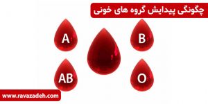 چگونگی پیدایش گروه های خونی