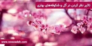 تاثیر نظر کردن در گل‌ و شکوفه‌های بهاری