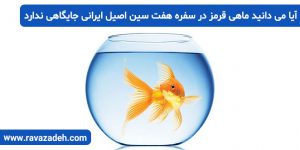 آیا می دانید ماهی قرمز در سفره هفت سین اصیل ایرانی جایگاهی ندارد