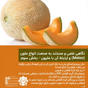 نگاهی علمی و مستند به صنعت انواع ملون (Melon) و ارتباط آن با ملیون - بخش سوم