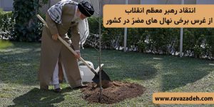 رهبر معظم انقلاب اسلامی دو اصله نهال میوه غرس کردند