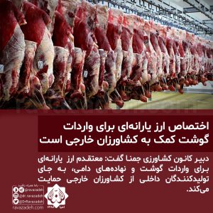 اختصاص ارز یارانه‌ای برای واردات گوشت کمک به کشاورزان خارجی است