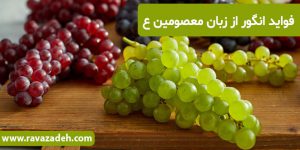 فواید انگور از زبان معصومین ع