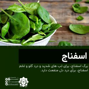 اسفناج