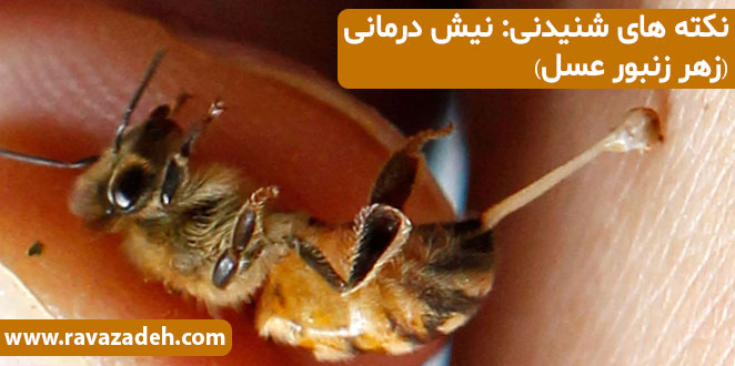 نکته های شنیدنی: نیش درمانی (زهر زنبور عسل)