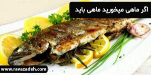 اگر ماهی میخورید ماهی باید