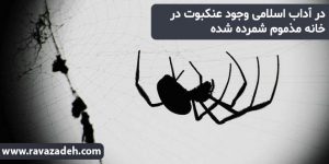 در آداب اسلامی وجود عنکبوت در خانه مذموم شمرده شده