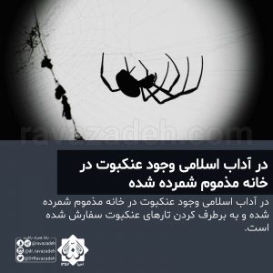 در آداب اسلامی وجود عنکبوت در خانه مذموم شمرده شده