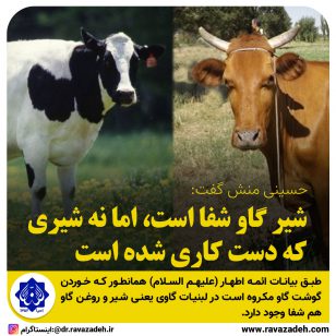 تصویر از نظر محقق طب ایرانی و اسلامی در خصوص شیر گاو