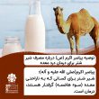 تصویر از توصیه پیامبر اکرم (ص) درباره مصرف شیر شتر برای درمان درد معده